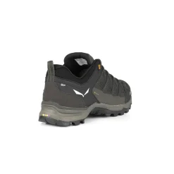 Mountain Trainer Lite GORE-TEX® Men's Shoes