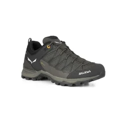 Mountain Trainer Lite GORE-TEX® Men's Shoes