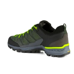 Mountain Trainer Lite GORE-TEX® Men's Shoes