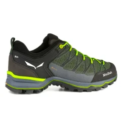 Mountain Trainer Lite GORE-TEX® Men's Shoes