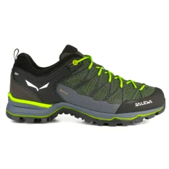 Mountain Trainer Lite GORE-TEX® Men's Shoes