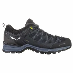 Mountain Trainer Lite GORE-TEX® Men's Shoes