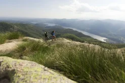 Mountain Trainer Mid GORE-TEX® Men's Shoes