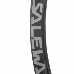 Ortles Bent Carabiner
