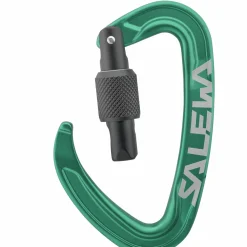 Ortles Screw Carabiner