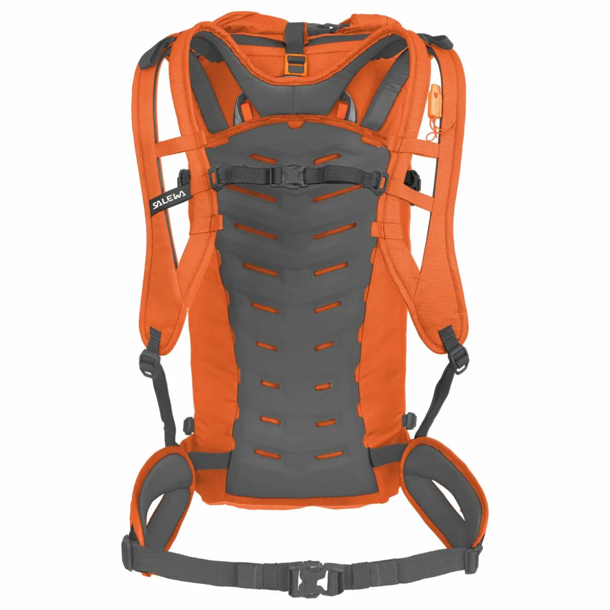 Ortles Wall 32L Backpack