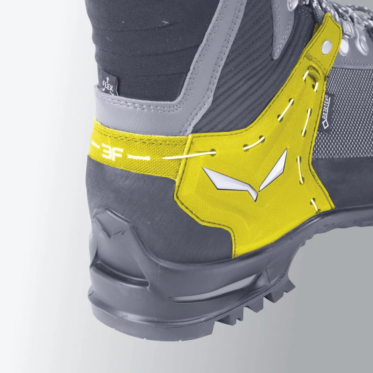 Rapace GORE-TEX® Men's Shoes