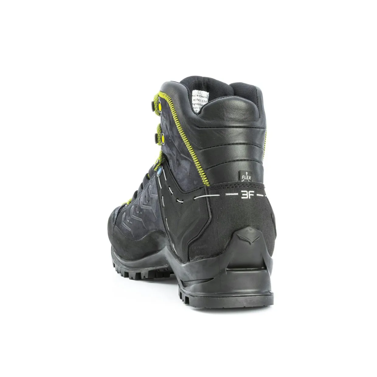 Rapace GORE-TEX® Men's Shoes