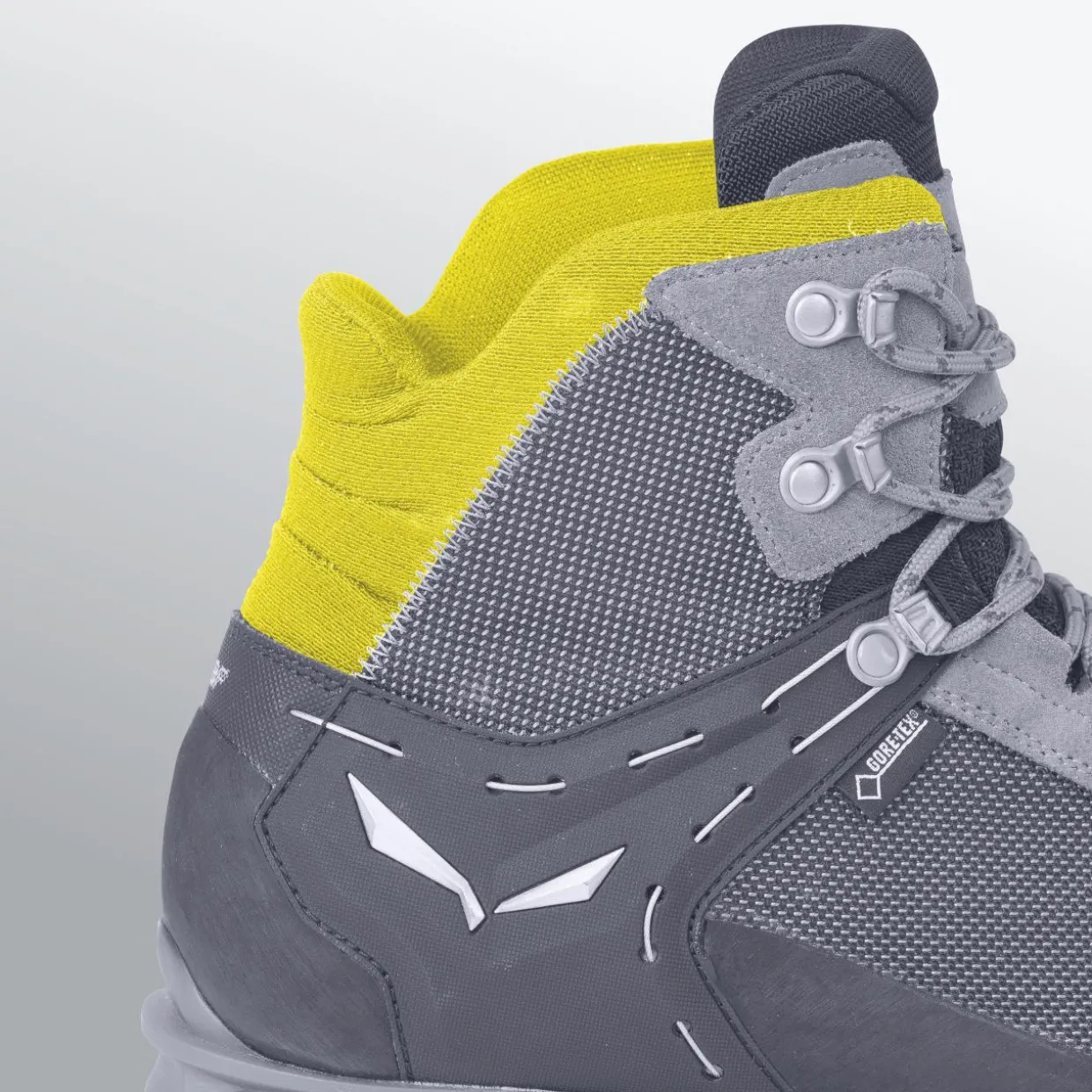 Rapace GORE-TEX® Men's Shoes