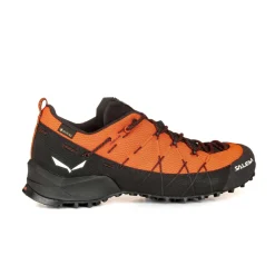 Wildfire 2 Gore-Tex® Shoe Men