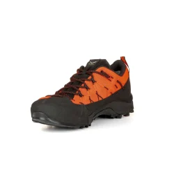 Wildfire 2 Gore-Tex® Shoe Men