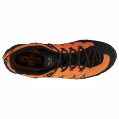 Wildfire 2 Gore-Tex® Shoe Men