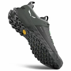 Wildfire NXT GORETEX® Shoe Men